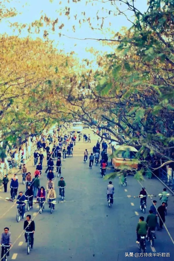 1980年代郑州老照片,八十年代郑州老视频