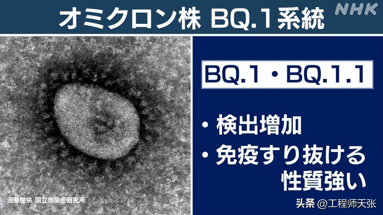 奥密克戎加速变异，地狱犬BQ.1.1来了！传染力致病力免疫逃逸咋样