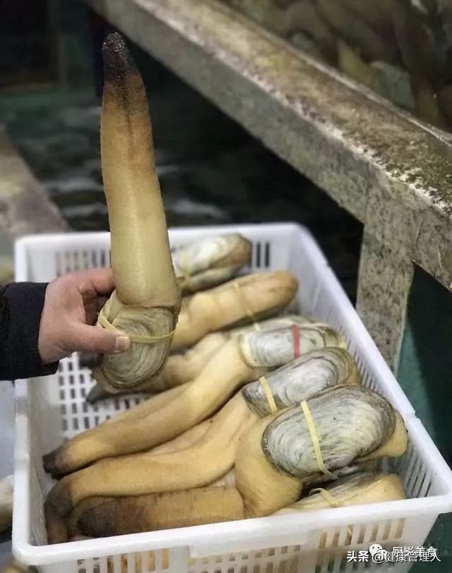 世界顶级海鲜食材,世界顶级的海鲜视频