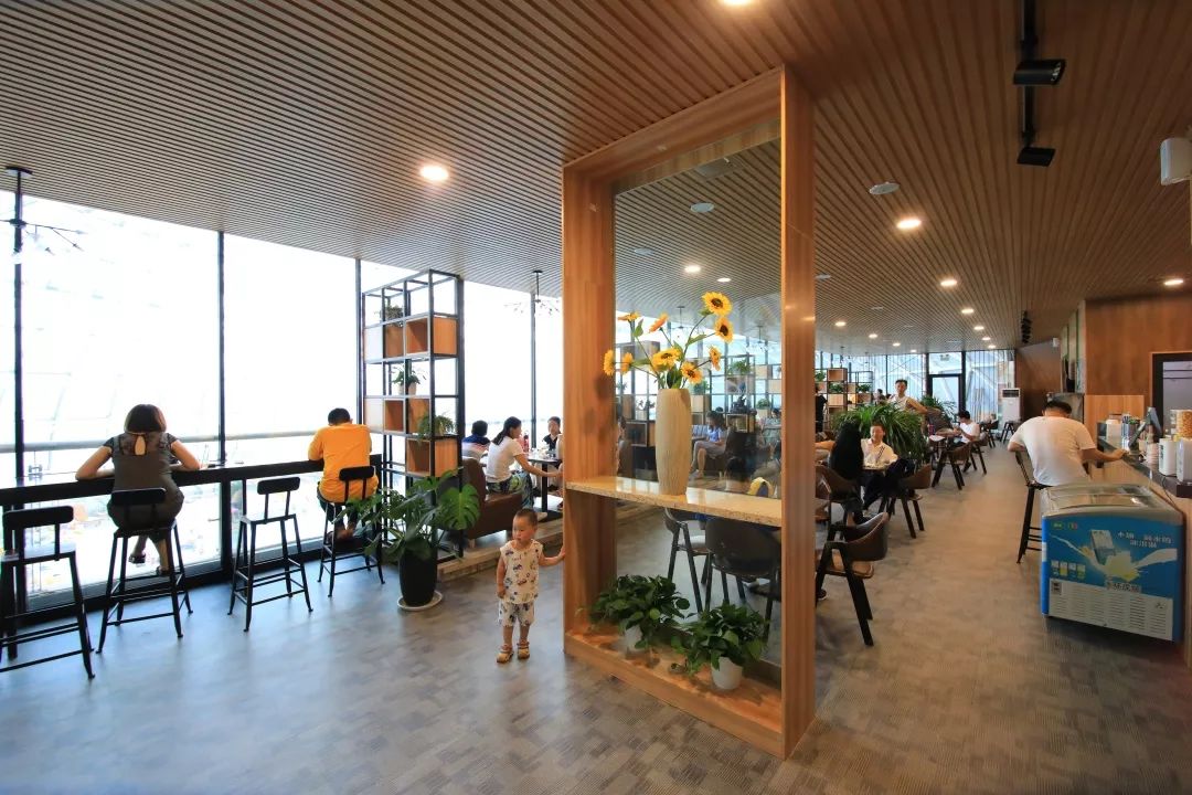 改造综合体育场,市体育馆改造建设方案