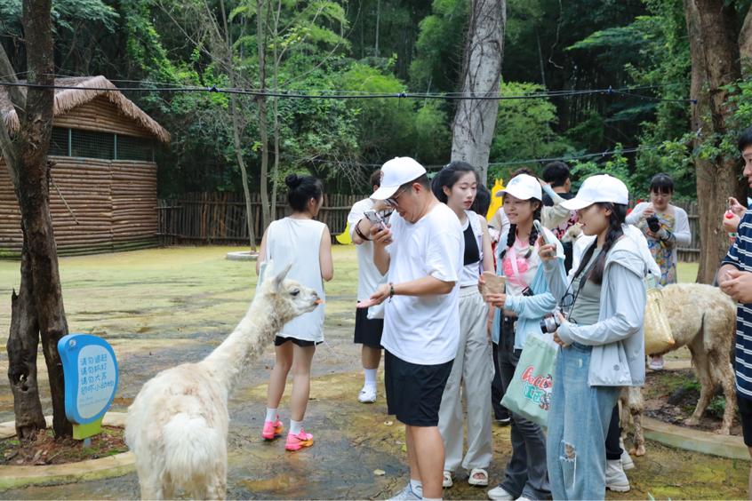 全球学子嘉游赣线路,全球学子嘉游赣文创设计