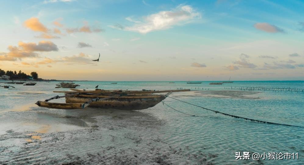 基金看好a股反弹行情,深度分析基金反弹