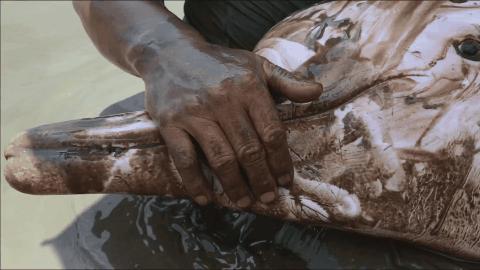 中国人冒死拍的纪录片,一群中国人冒死拍摄