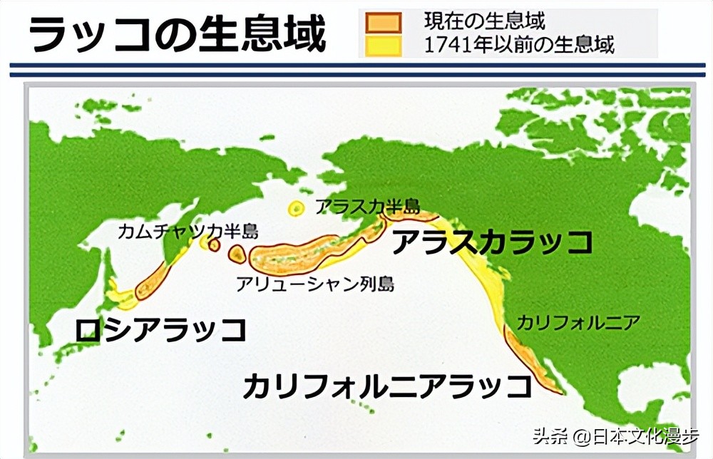 日本的特产动物是什么,日本特产真的吗