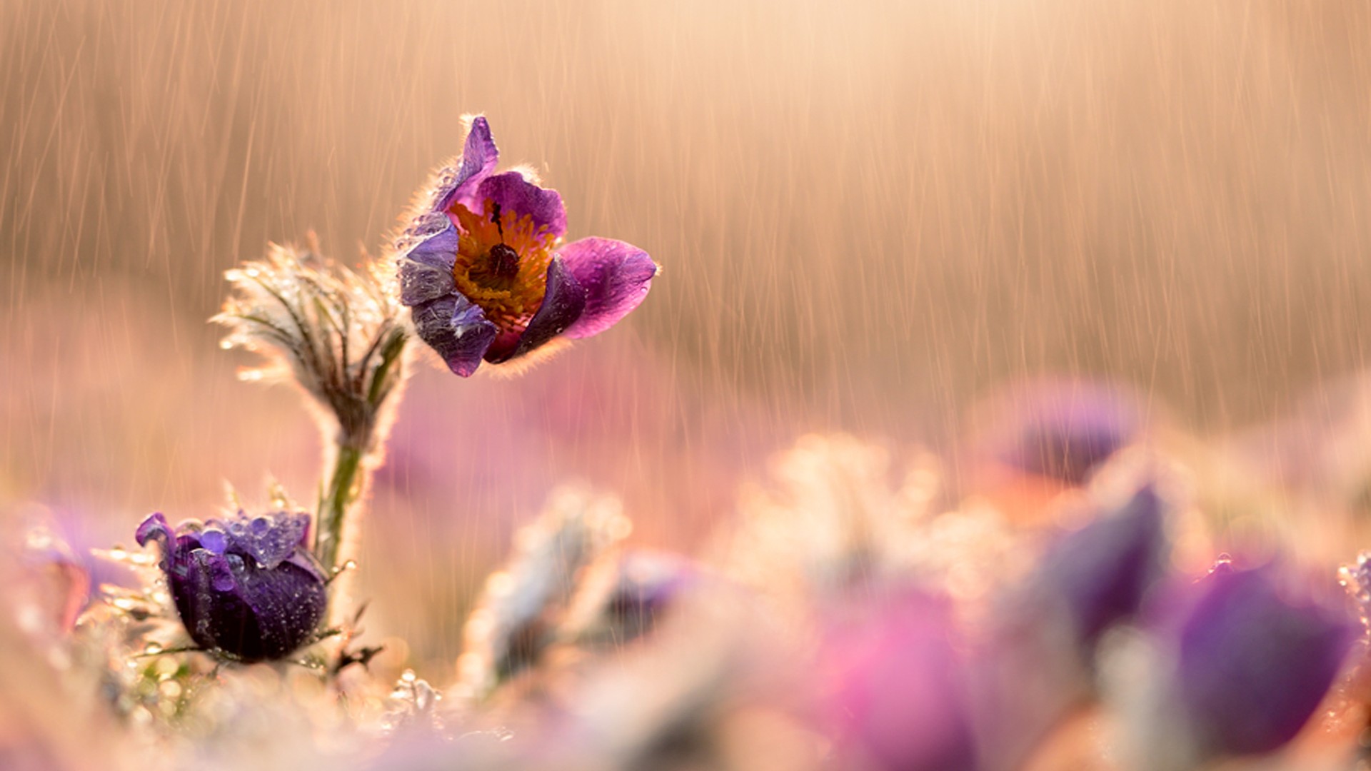 女人不主动联系说明她不爱你了,女人从来不主动联系你说明不喜欢