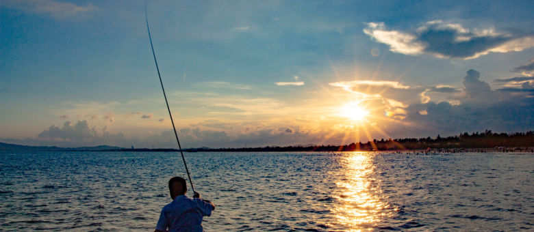 野钓鱼不开口怎么钓教你一招,钓鱼应该怎么钓才能钓到鱼