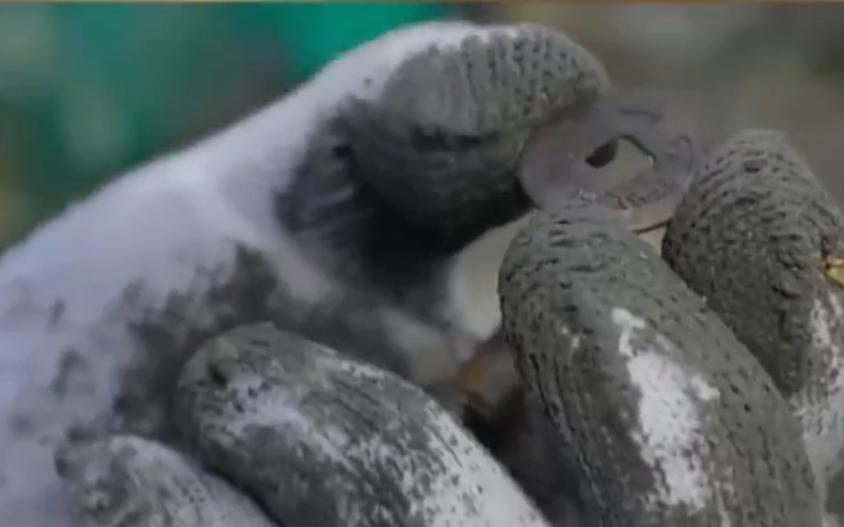 定远号打捞上岸后痛哭流涕,定远号被打捞上来了吗