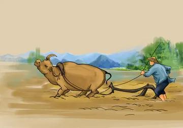 歇后语开心,歇后语开心逗乐