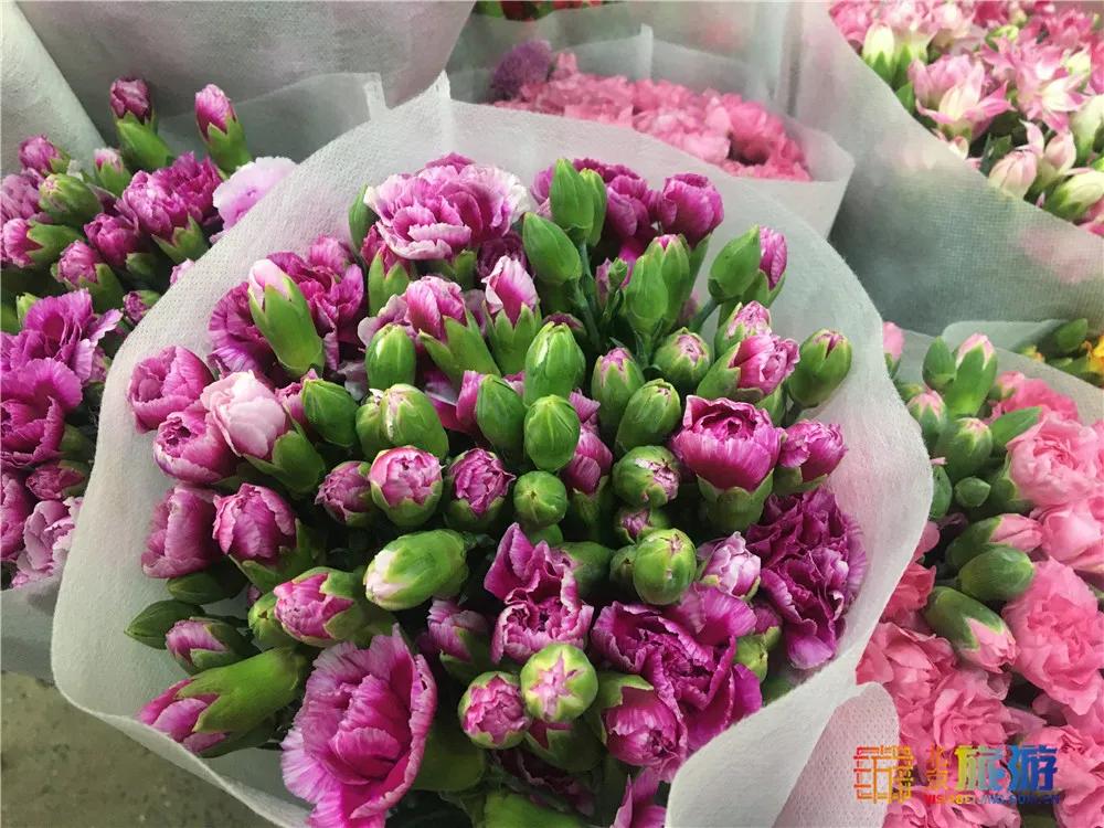 京南永清花卉批发市场,京南花卉批发市场