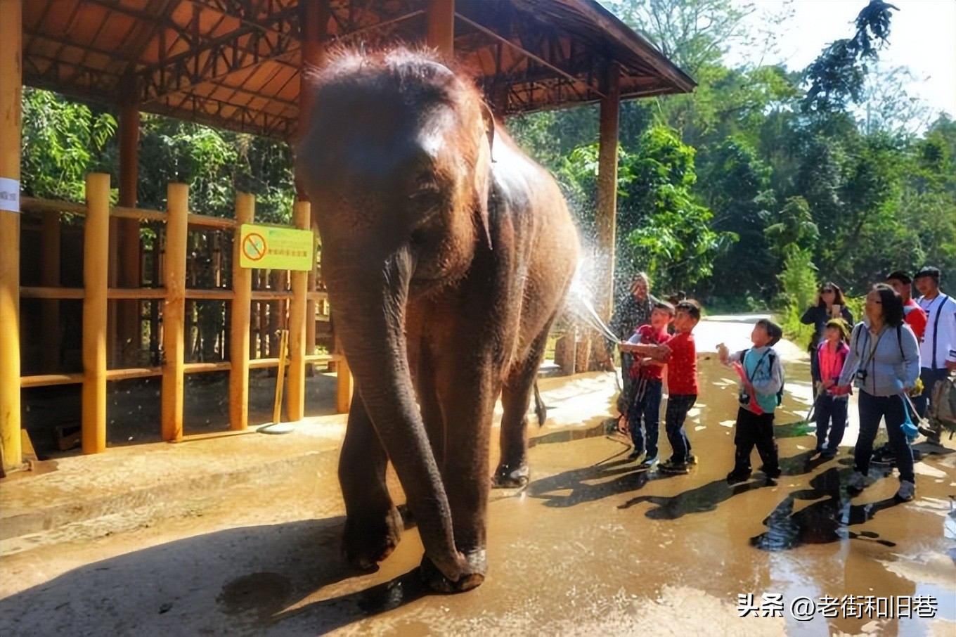 为什么说四季都适合去云南玩,去云南哪个季节去最好玩