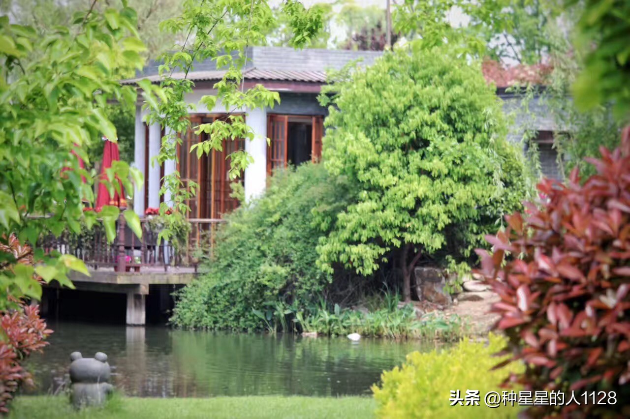 订墓碑需要提供什么信息,陪朋友去扫墓买什么