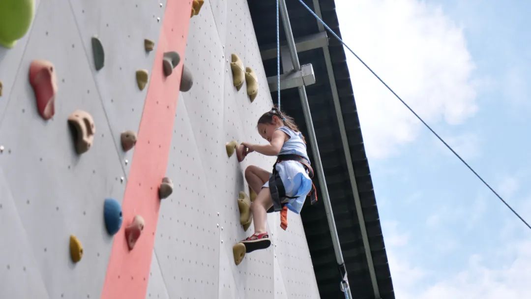 2019年一年级招生简章,2022年公办学校一年级怎么招生