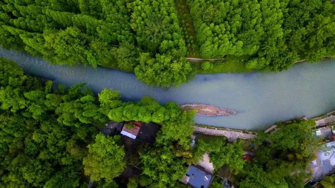 成都免费露营地推荐过夜,成都周边露营地推荐自驾