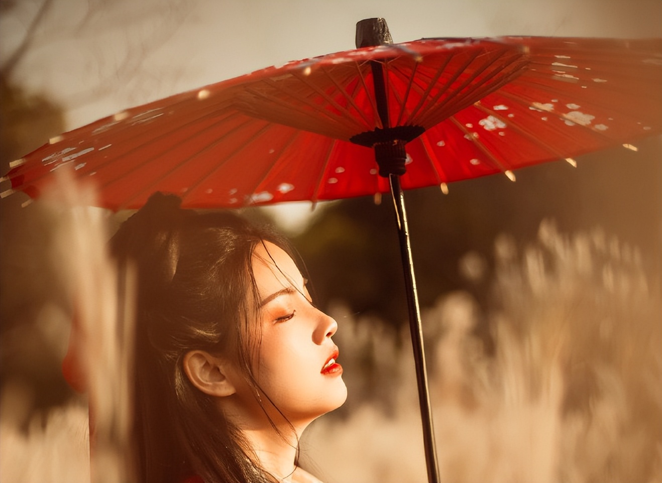 为什么男人比女人富有,男人比女人多为什么