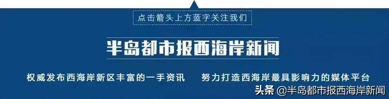 鲁B、鲁U车主注意！本周五至下周一，交管业务停止办理！半岛都市报西海岸新闻2021-12-1611:17
