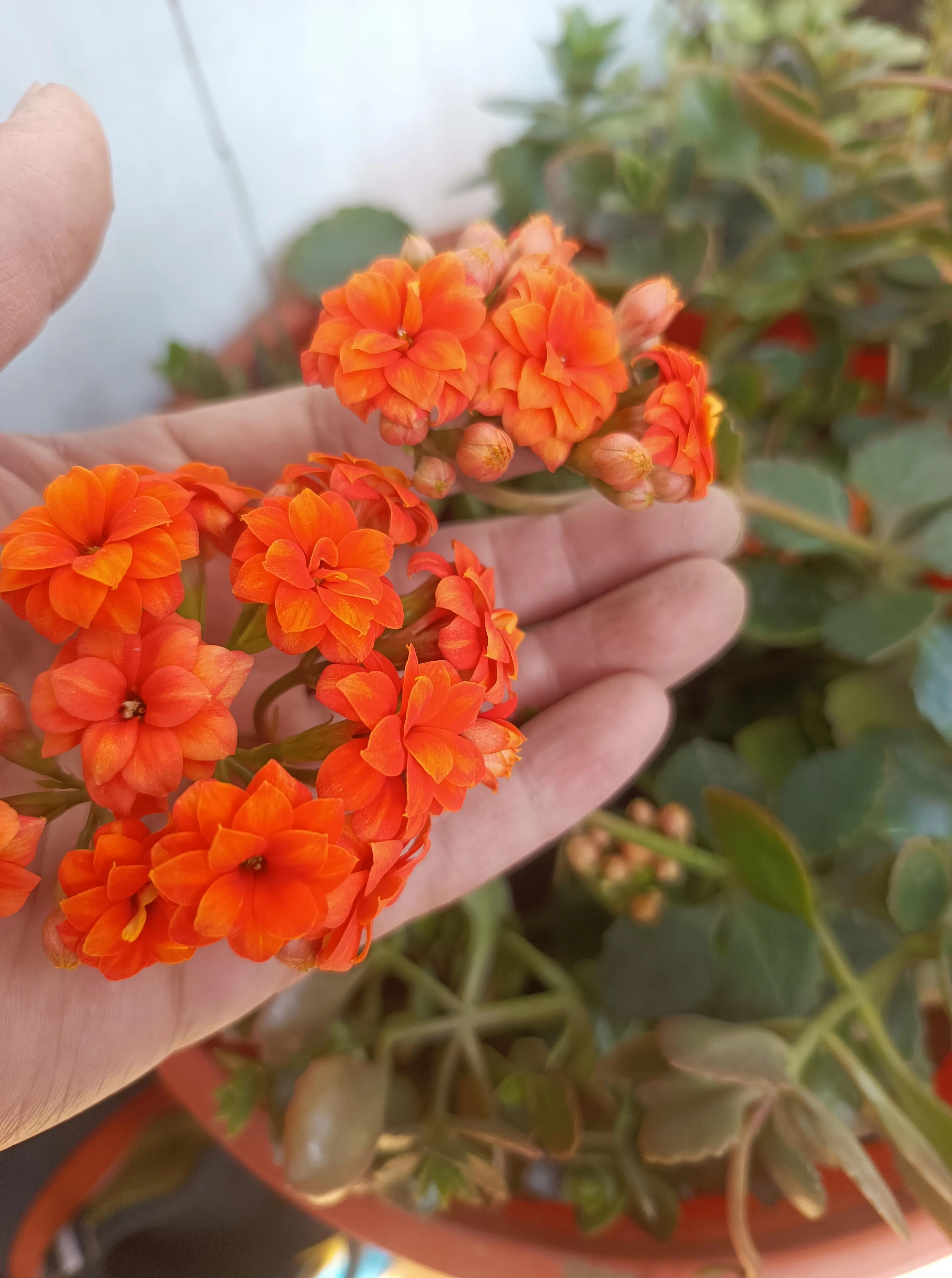 听音乐是最好的用英语怎么说,听音乐的英语应该怎么说