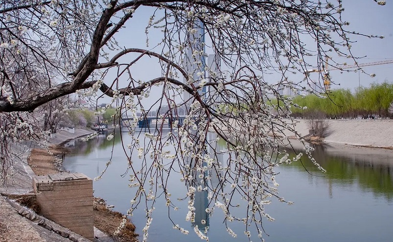 天津周边冷门海边,五一短途冷门自驾游天津