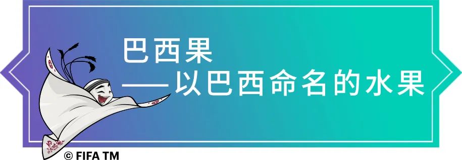 卡塔尔世界杯巴西队桑巴军团,卡塔尔世界杯巴西首场比赛阵容