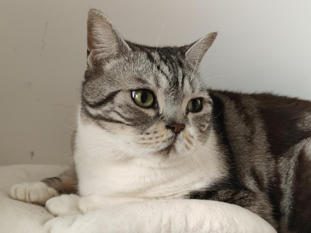 换手机尽量换什么手机,换手机最好用什么手机