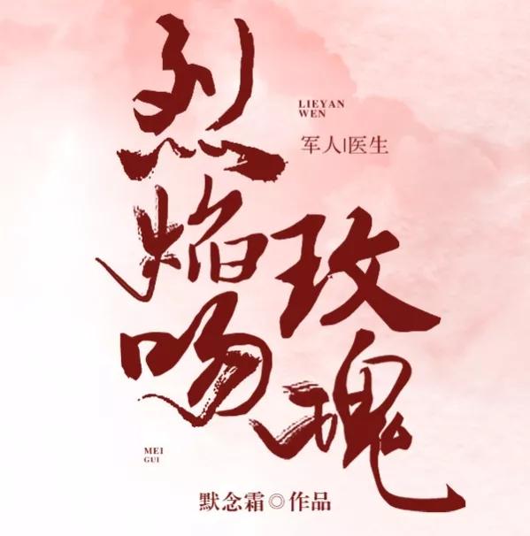 男主军人女主医生小说22万字,男主是军人女主是医生的甜文