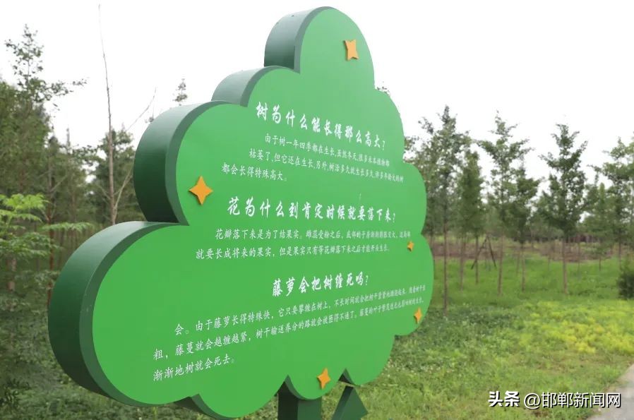 峰峰网红打卡地,寓教于玩幼儿园