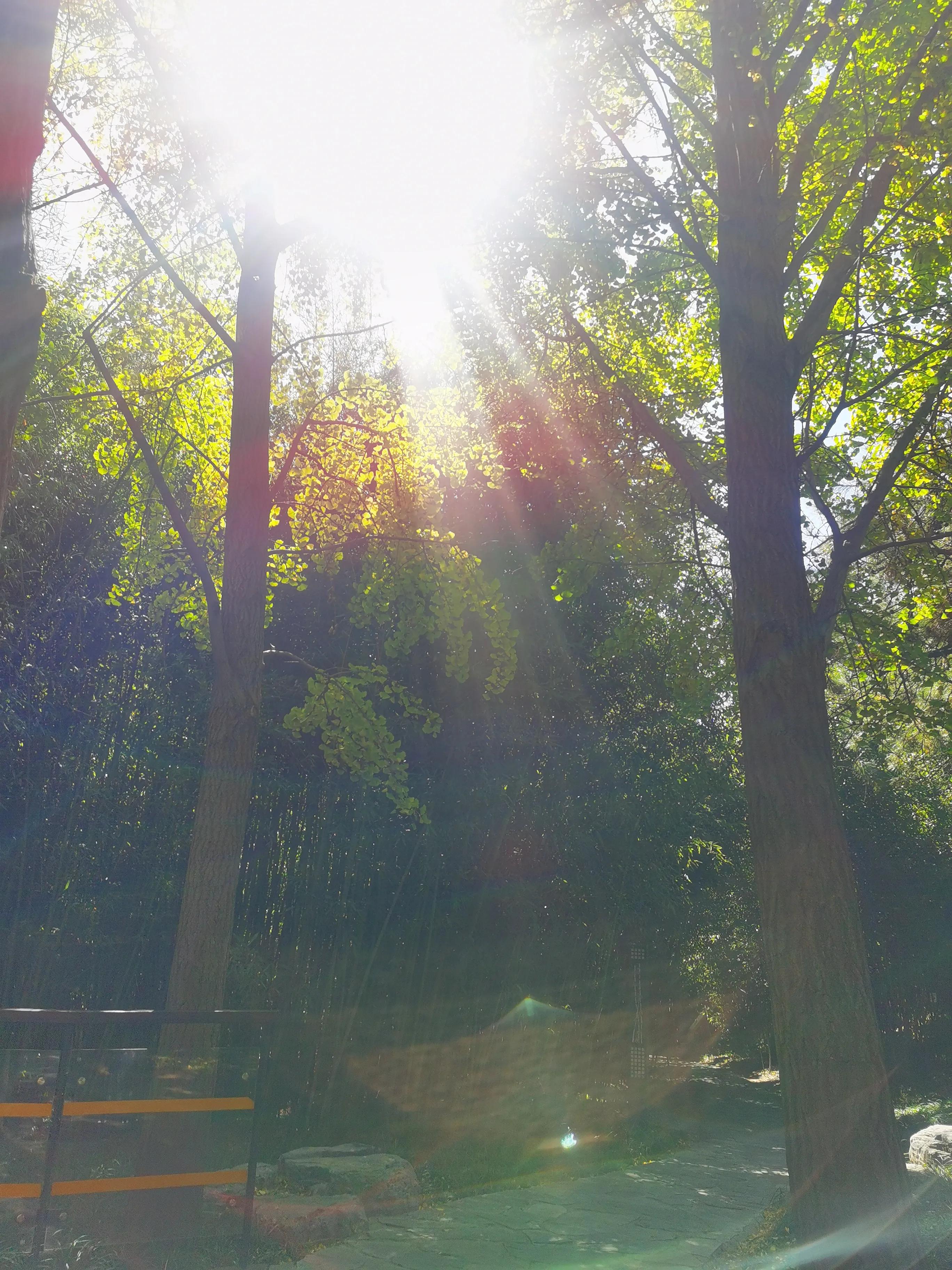 人间值得，生孩子值不值得？