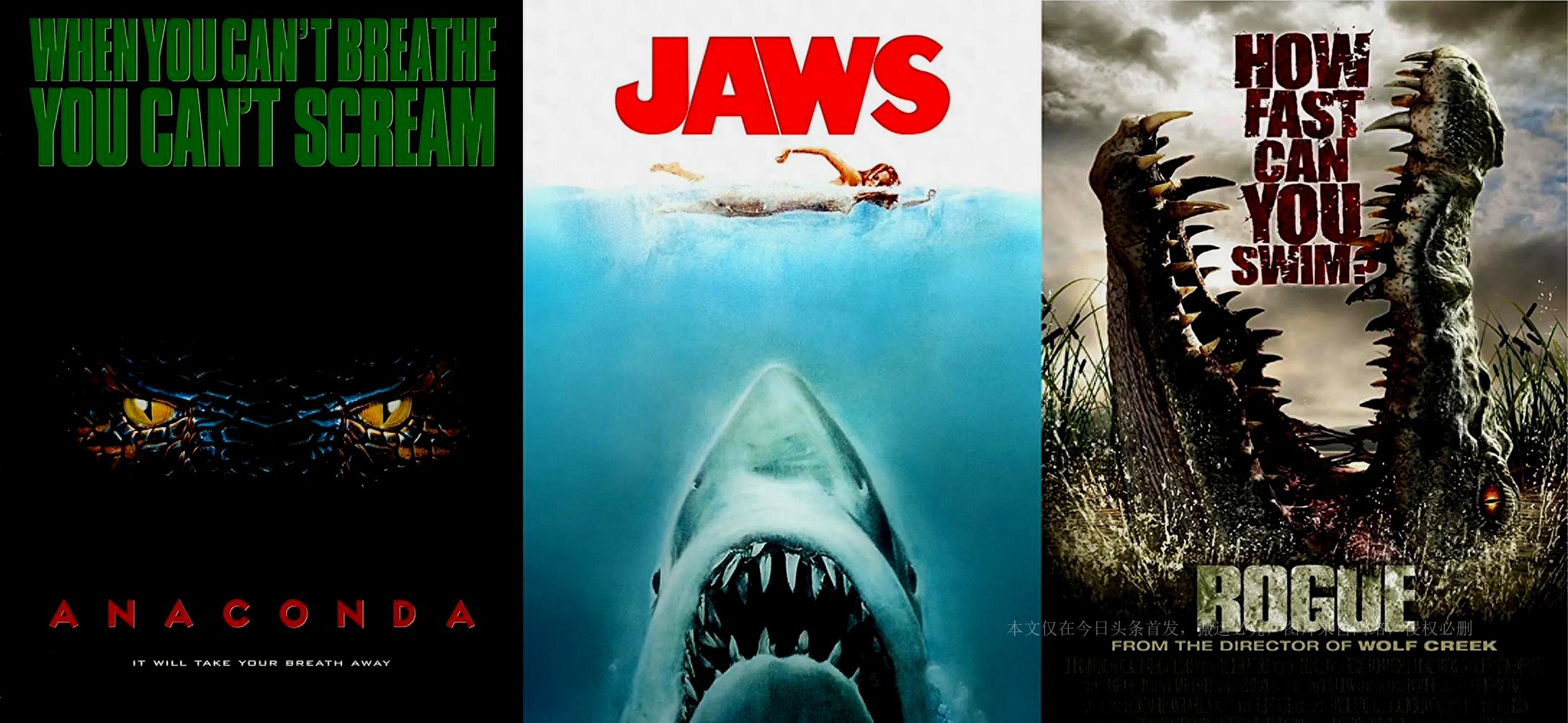 真蛇大战真实视频,人蛇大战是真蛇还是假蛇