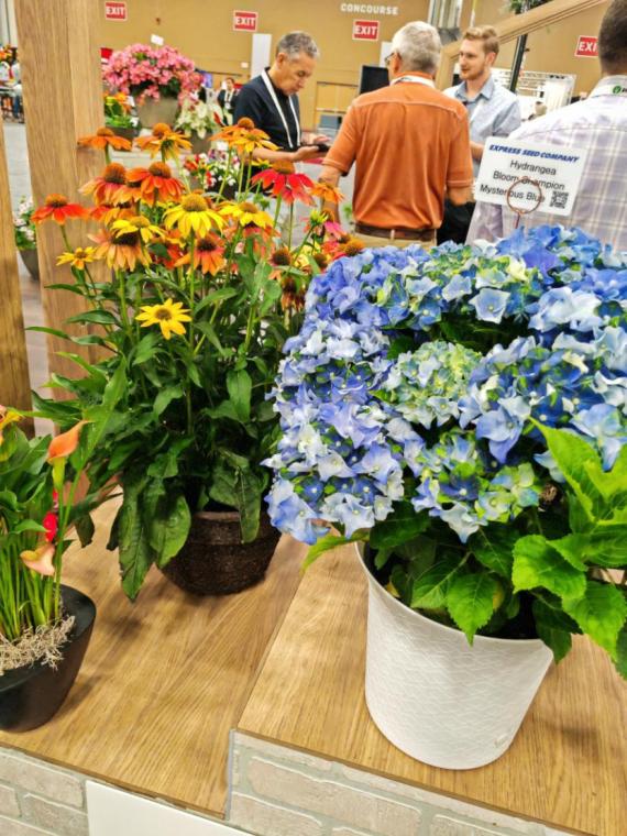 美国最大的农业产品展会,美国最顶级盆景展