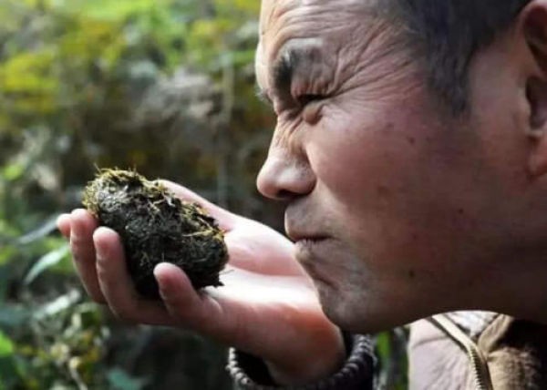 香水的原料也是粪便的原料,动物粪便香水