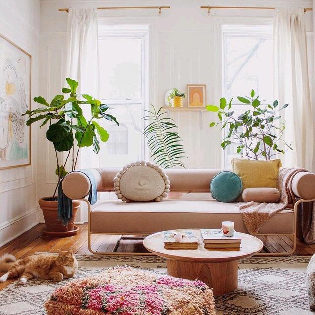 家里养花有句老话说花旺人不旺,在家养花对风水好的花