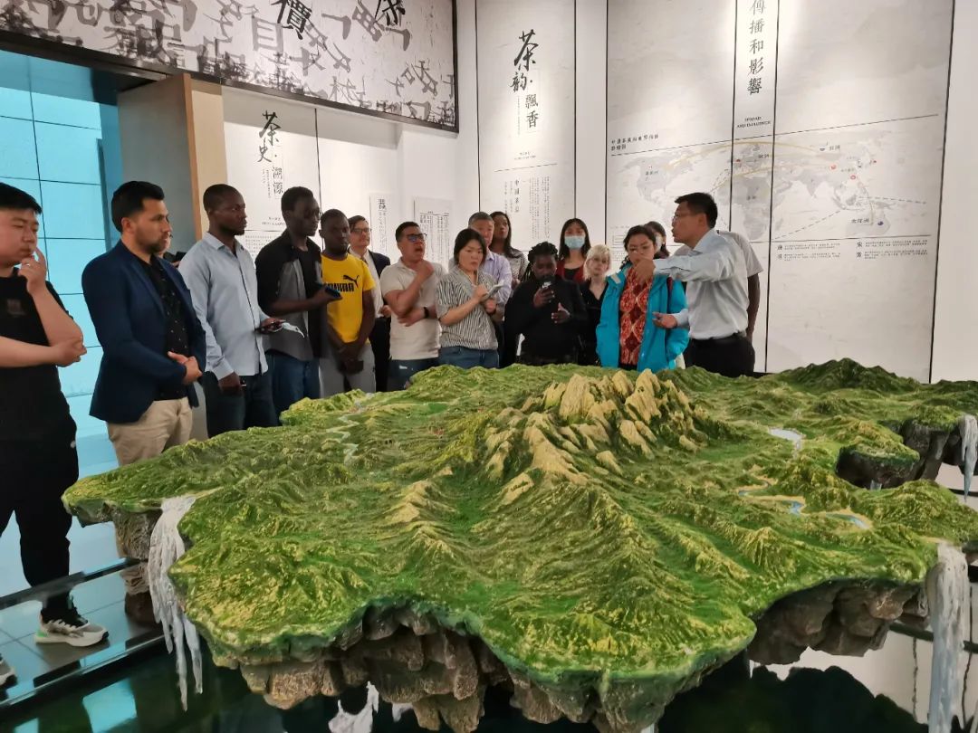 茶叶产品执行标准的分类,茶叶国家质量标准最新