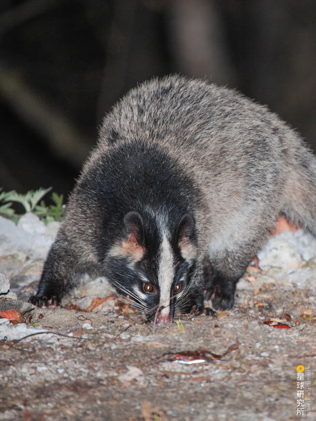 致与病毒搏斗的你！