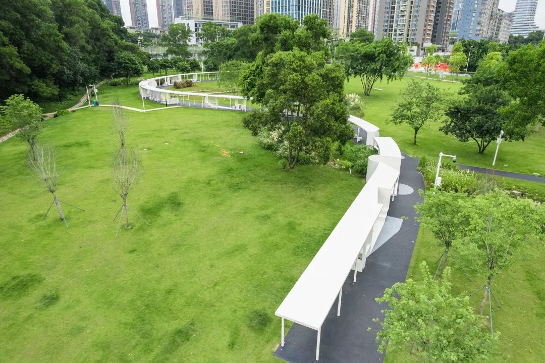 克莱因蓝爆红,克莱因蓝深圳公园