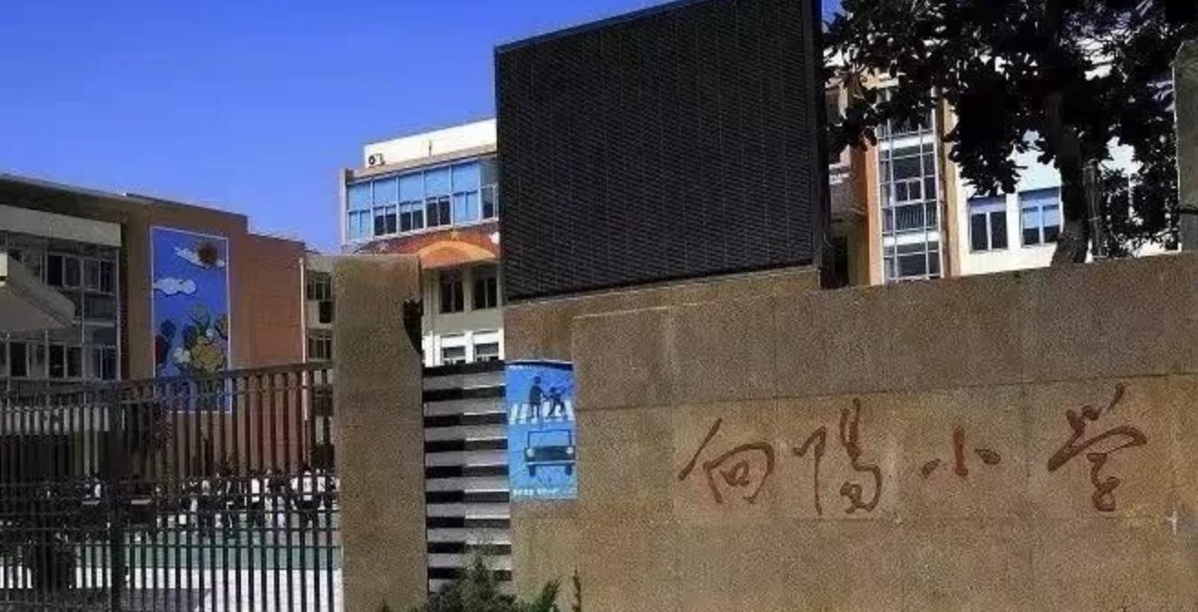 上海徐汇区示范幼儿园,上海有哪些宜居教育还好的区