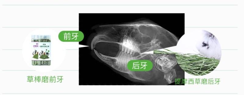什么宠物对纯素食者最好,好养且可以食用的宠物有哪些
