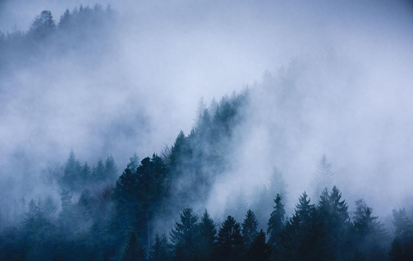 案件破解视频,案件破解解说