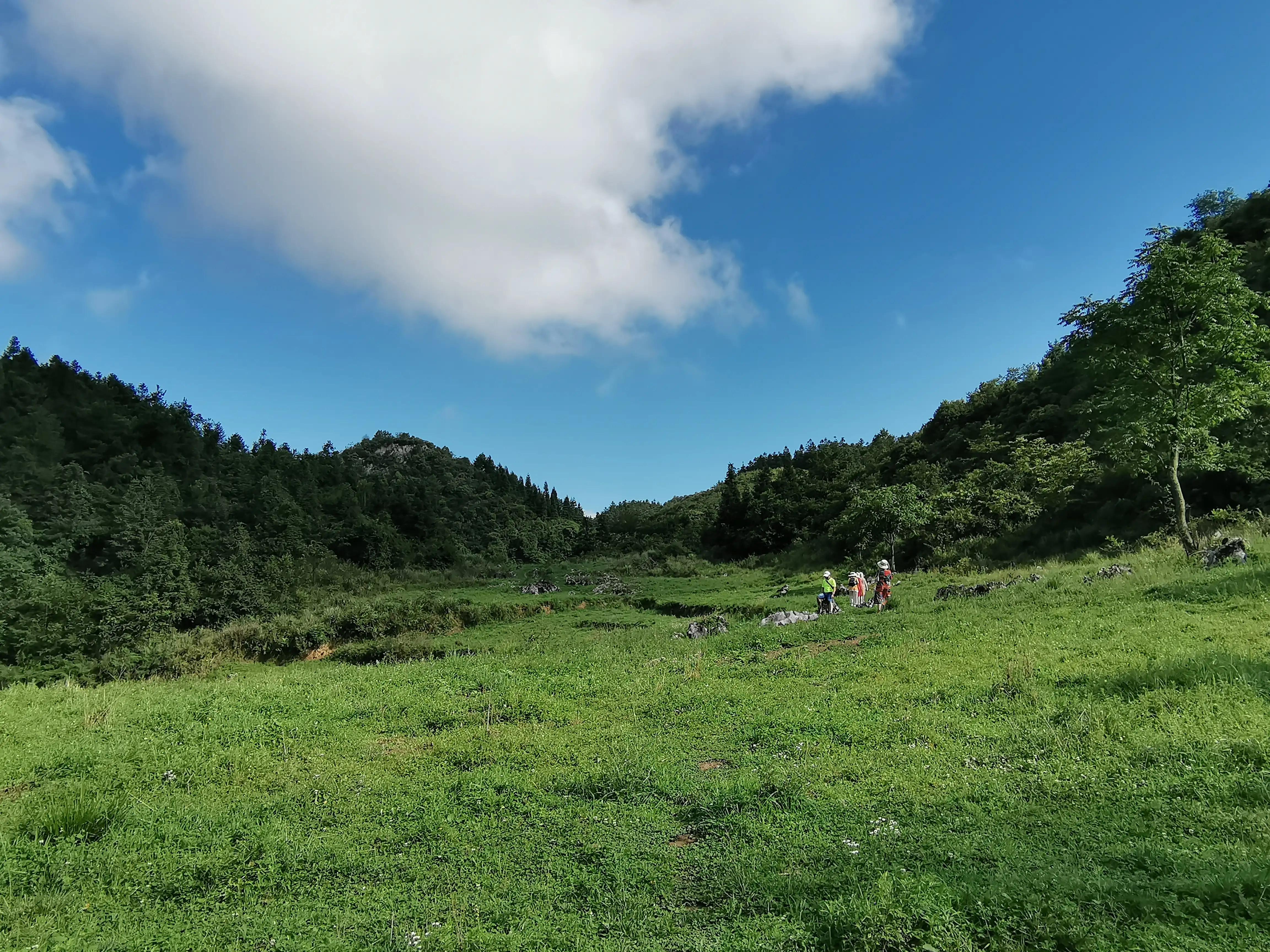 桐梓楚米避暑海拔高的地方,贵州桐梓楚米避暑哪家好