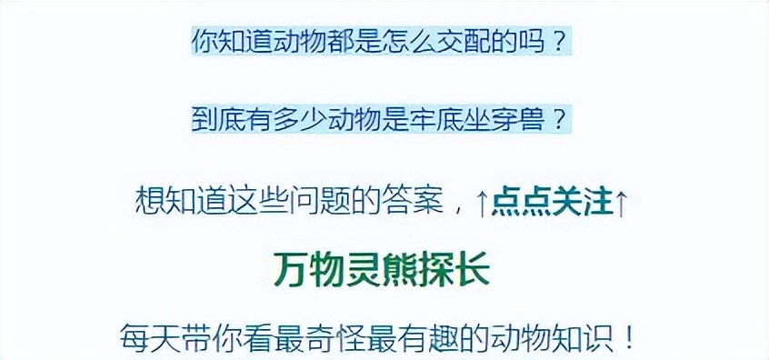 警犬工资一万八真的假的,警犬一月工资
