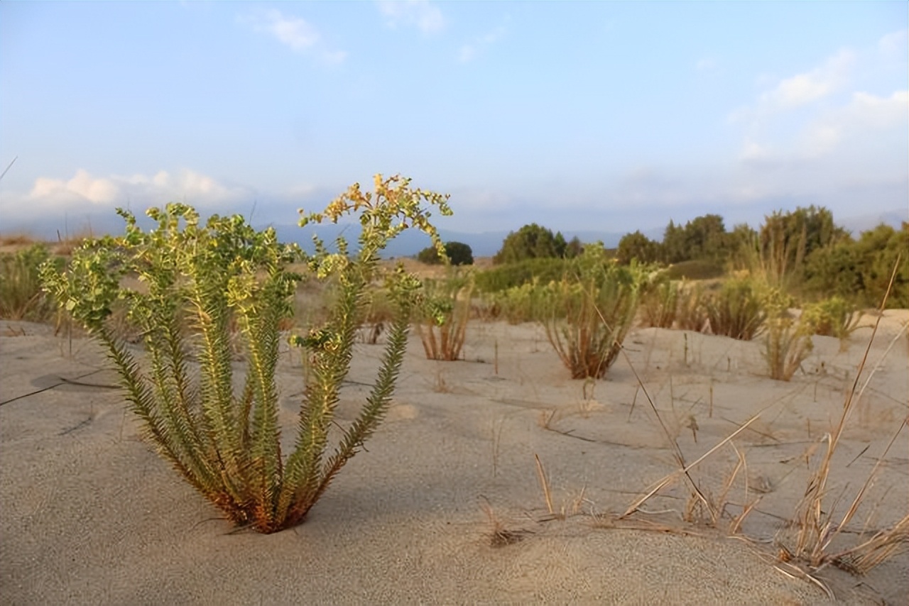 野外这三种石头不建议捡回家,捡到这种石头千万不要扔