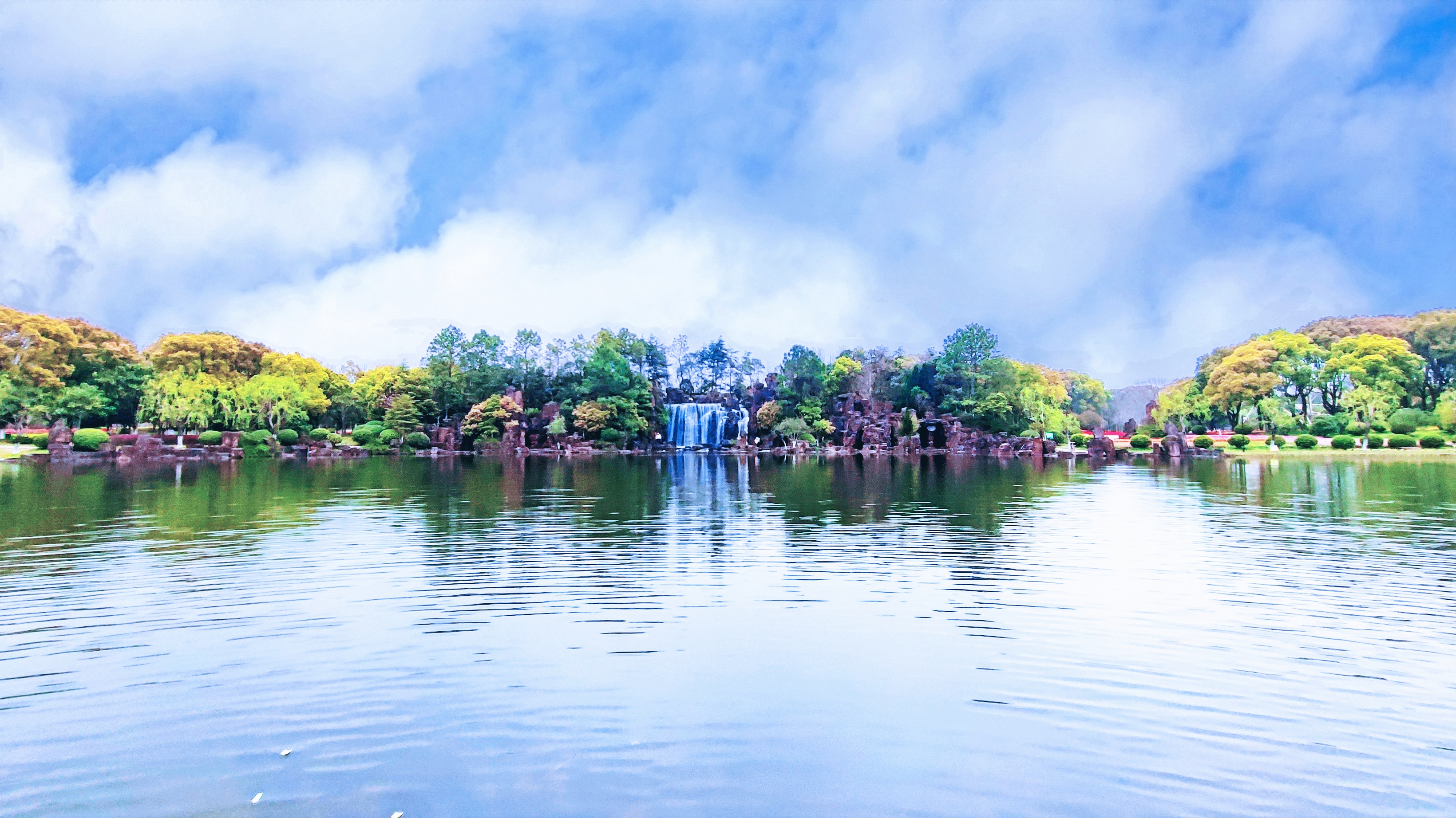 鲜花港郁金香花海,国际鲜花港花海
