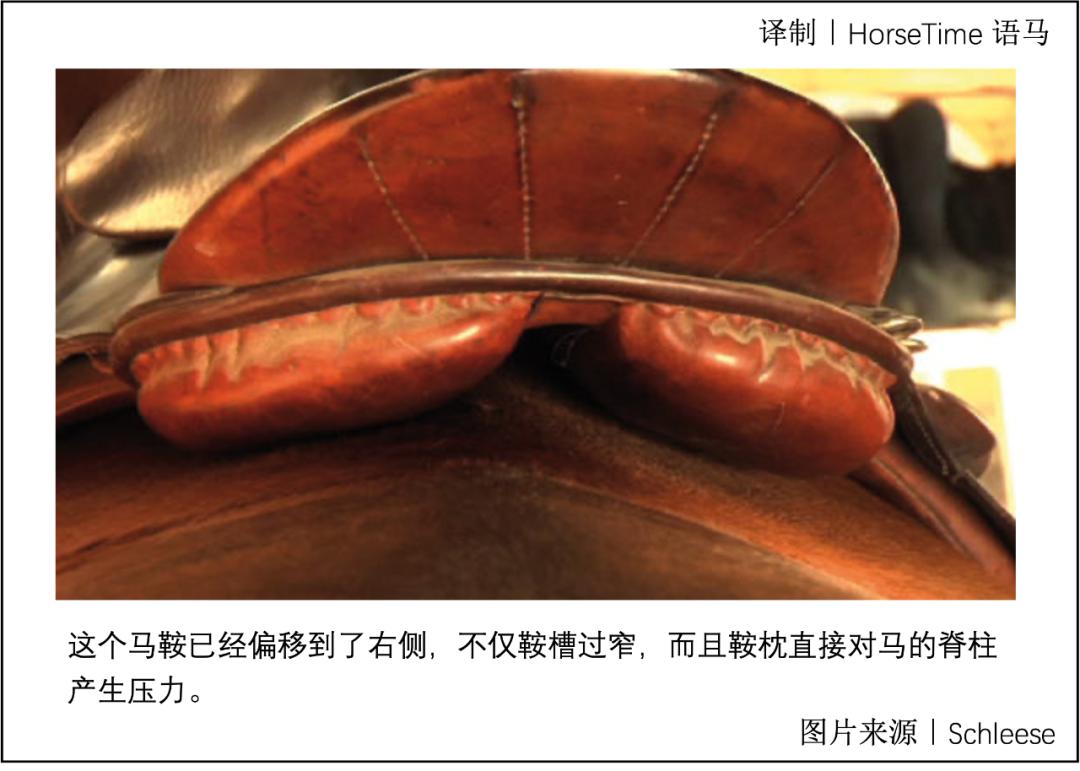 马鞍不匹配会带来哪些危害,马鞍不匹配会造成什么后果