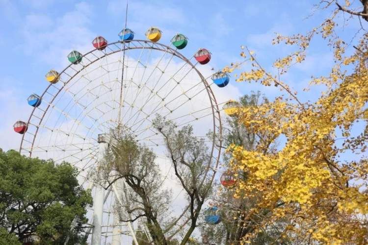 最值得打卡的动物园,国庆必打卡动物园推荐