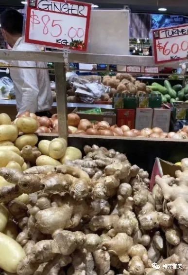 在澳洲种菜日记,我在澳洲学医