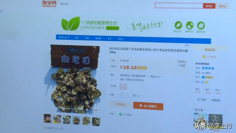 “淘宝村”里菇飘香六旬菇农年销600多万元