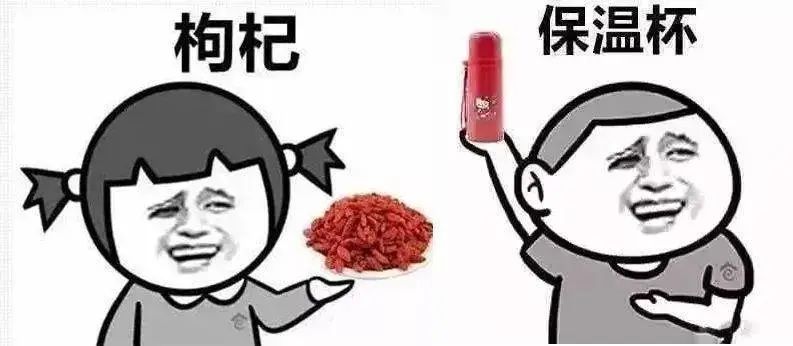 真假膳魔师,膳魔师是杂牌吗