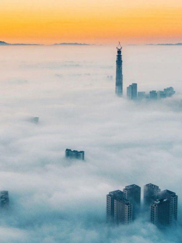 微生物菌群最新研究进展,一号菌群科研新成果