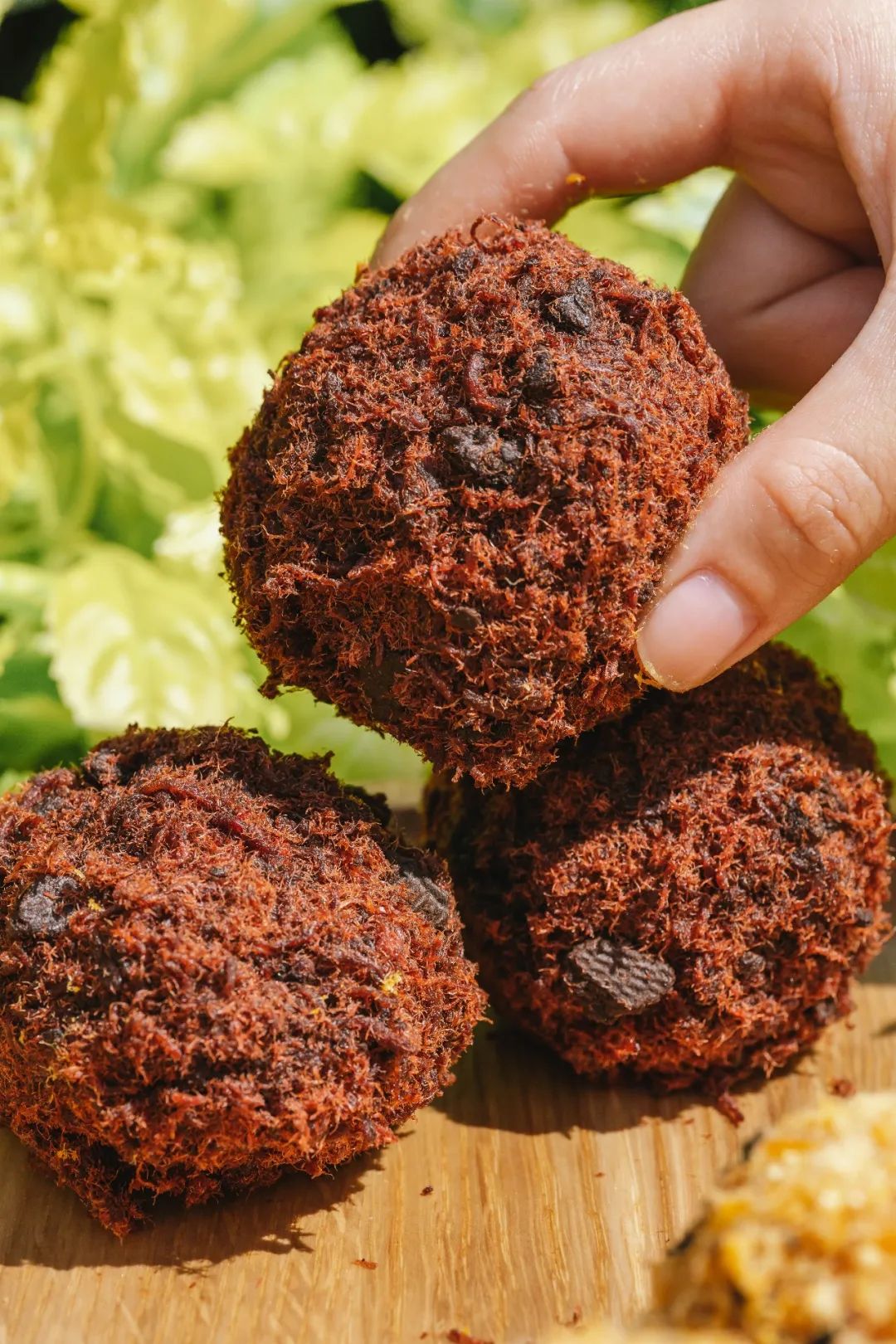 佛山泸溪河,火遍江浙沪泸溪河