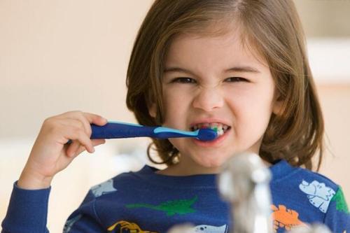 超越冲击与咬合力,超越攻牙机