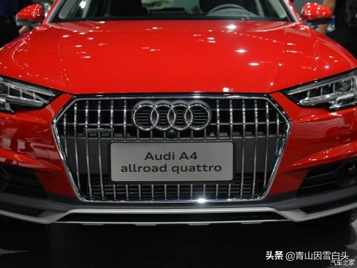 种啥树一亩竟赚10多万,一亩地种60棵树的株距和行距