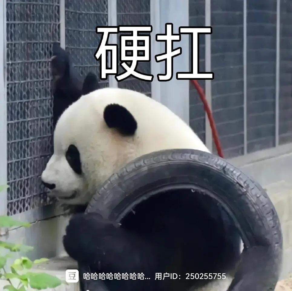 对老板说“臭不要脸,装什么装”。。。职死案例引以为戒!